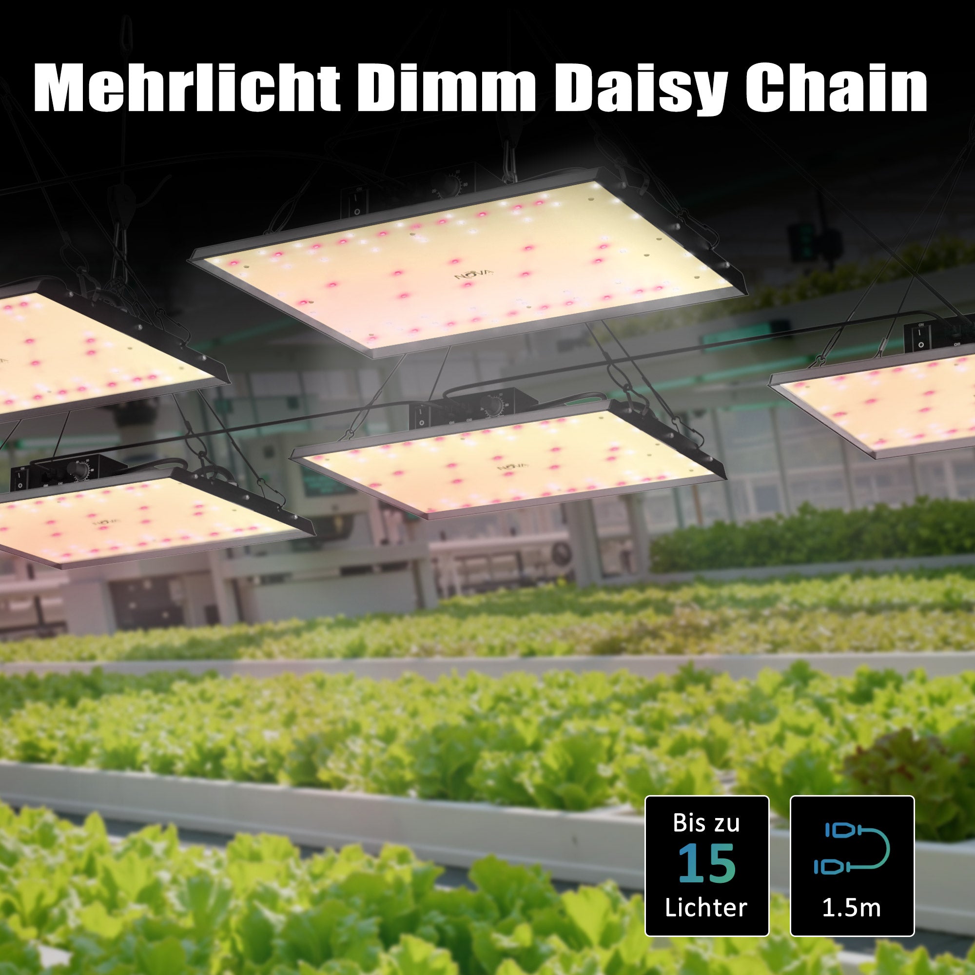 NovaGrove Lampada LED a spettro completo per piante, luce da coltivazione da 100 W per grow box. Luce con dimmer e funzione daisy chain, EC10.