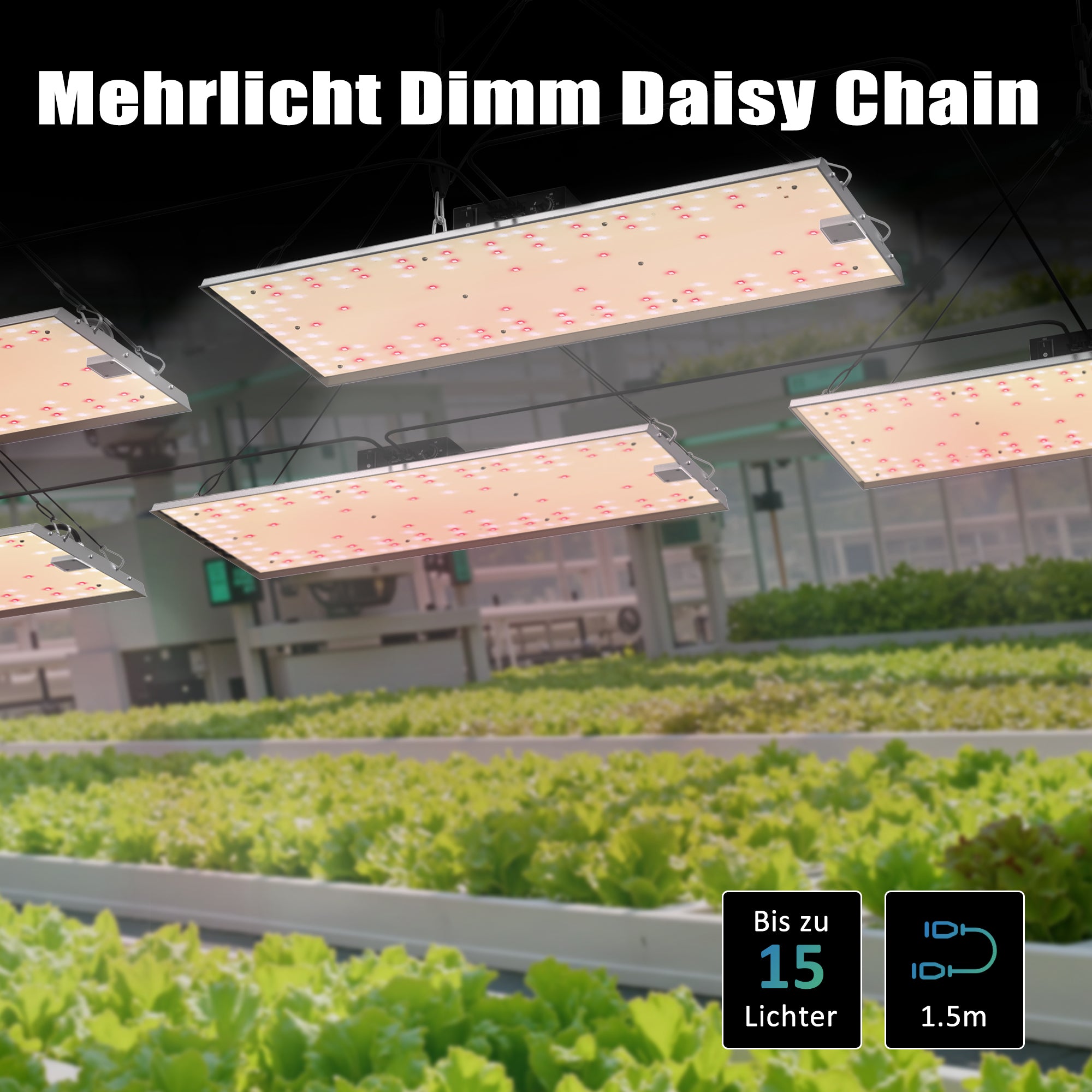 NovaGrove Lampada LED a spettro completo per piante, luce di coltivazione da 200W per grow box 60x120 cm, dimmerabile con funzione daisy chain, EC20